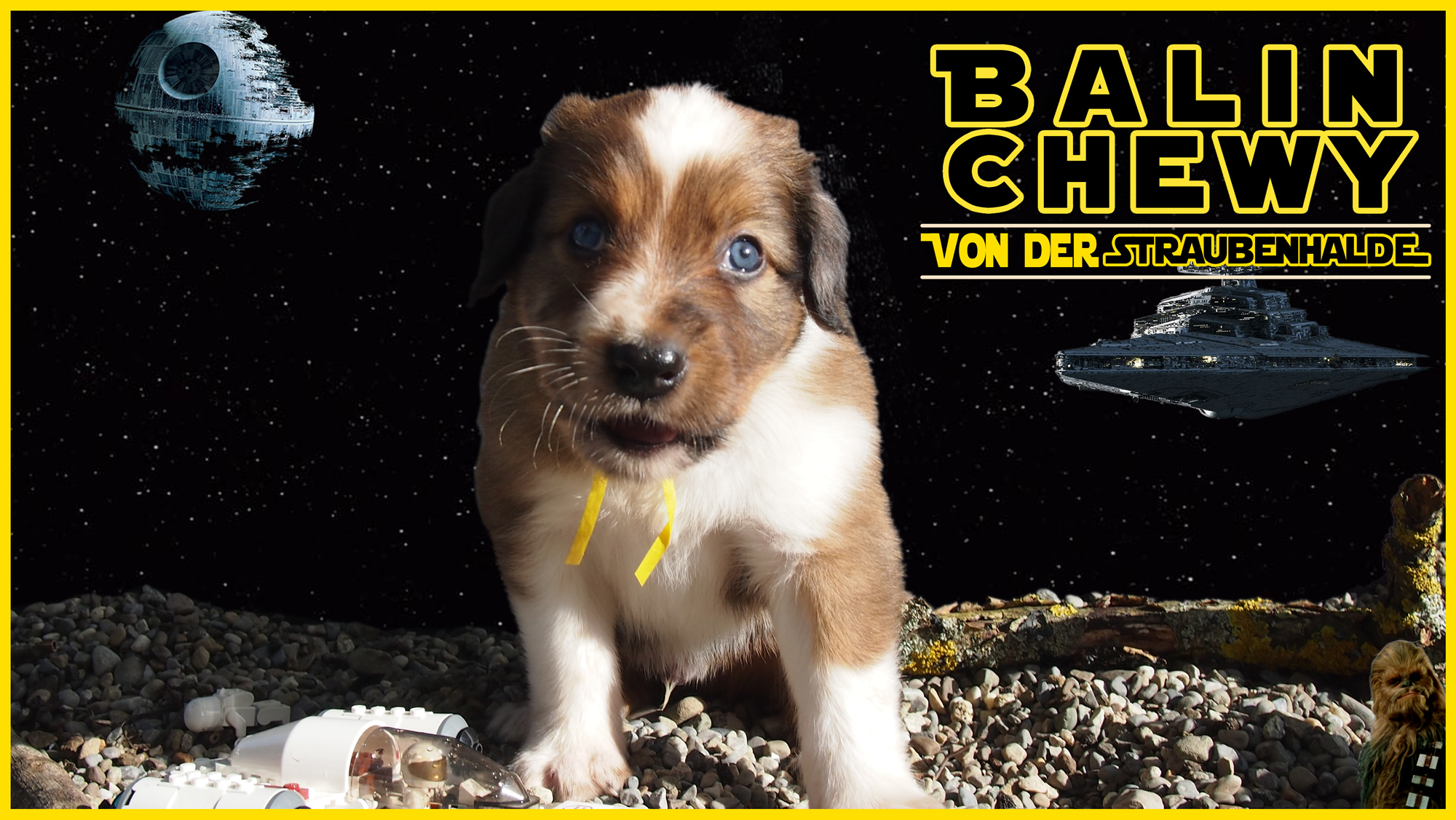 W&auml;ller von der Straubenhalde